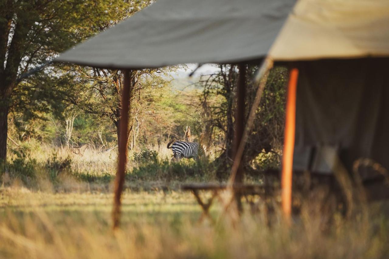 Zawadi Camp Hotell Serengeti Eksteriør bilde