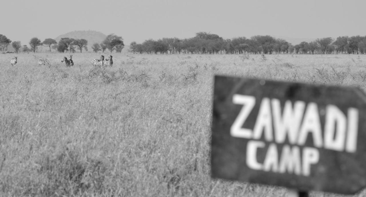 Zawadi Camp Hotell Serengeti Eksteriør bilde