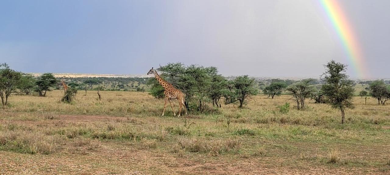 Zawadi Camp Hotell Serengeti Eksteriør bilde