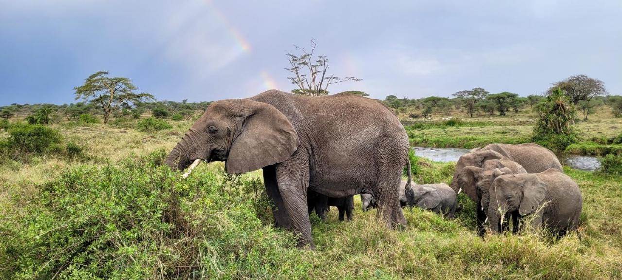 Zawadi Camp Hotell Serengeti Eksteriør bilde