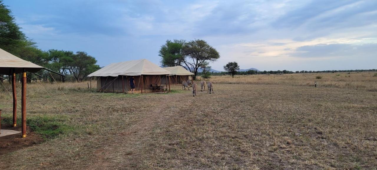 Zawadi Camp Hotell Serengeti Eksteriør bilde