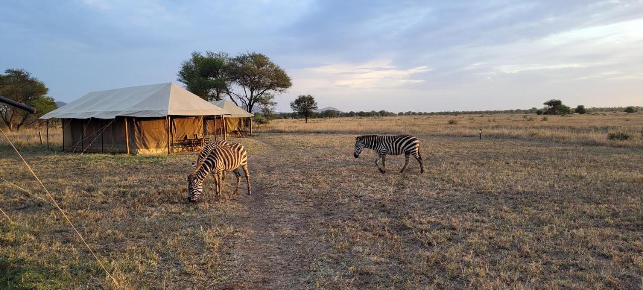 Zawadi Camp Hotell Serengeti Eksteriør bilde